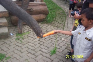 Wahana di Lokasi Rekreasi Taman Safari Indonesia 